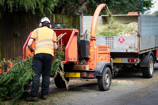 Best Tree Health Inspection  in Burbank, WA