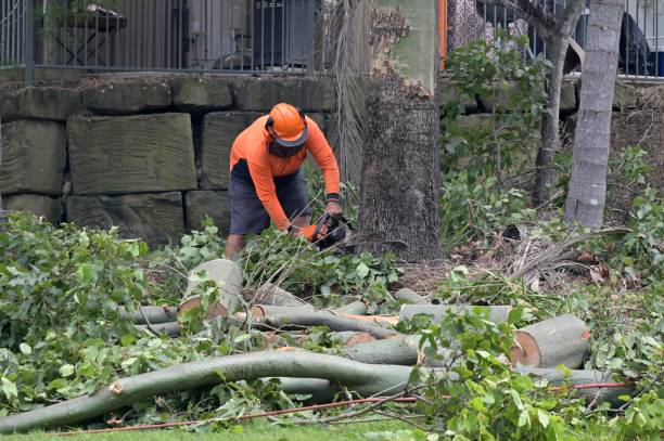 Seasonal Cleanup (Spring/Fall) in Burbank, WA